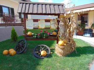 Najlepše urejena domačija na temo jesen in buče 1